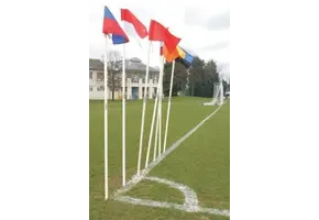 Hoekvlagset: flexibele witte stok met vlag 30cm x 30cm