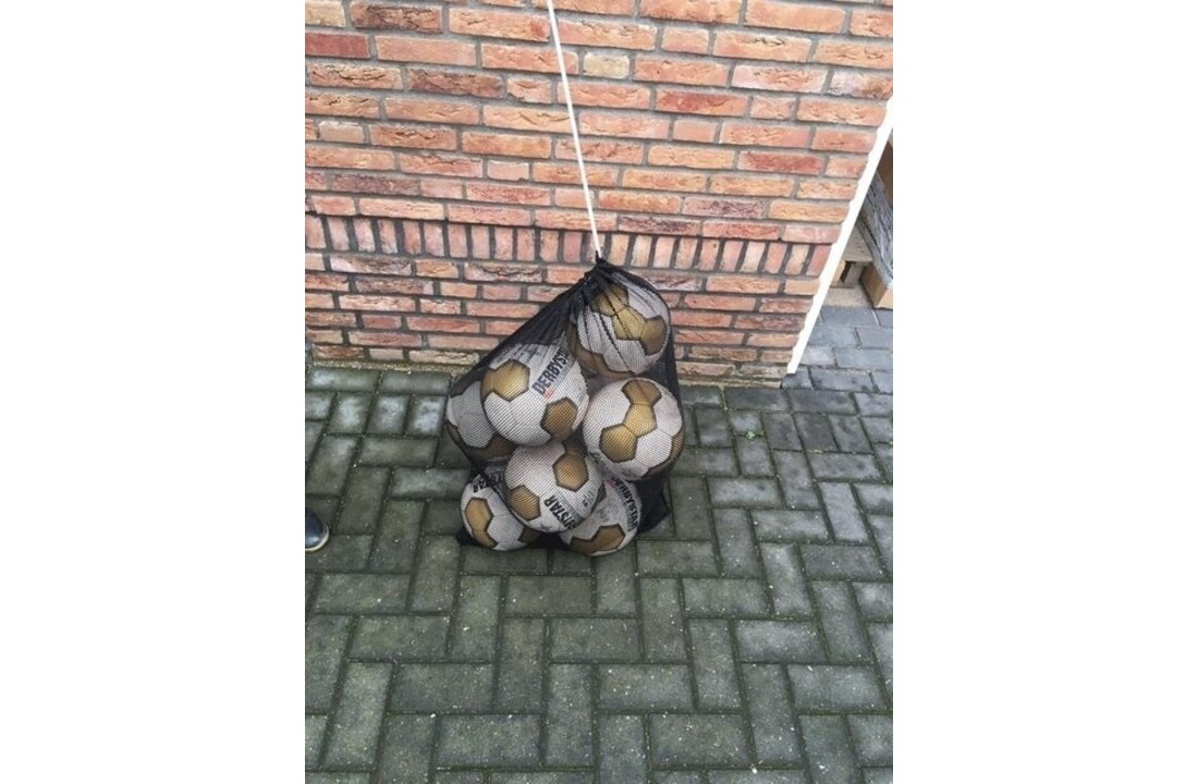 Filet à balles 10 balles, maille fine noire