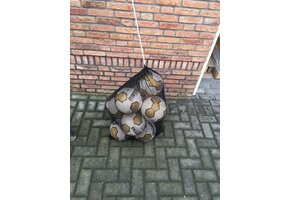 Ballennet 10 ballen fijnmazig zwart
