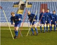 sla-om stokken P 1,7m set van 10