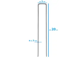 Haringen 10x ijzer 20cm x 3cm