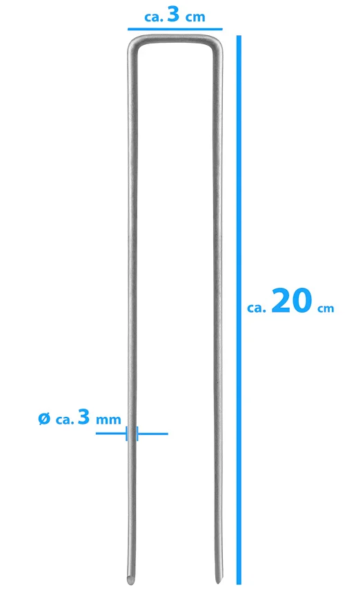 Haringen 10x ijzer 20cm x 3cm