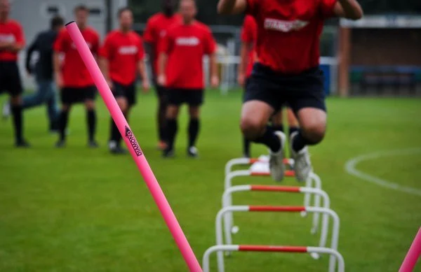 Jeu de haies auto-redressant 5 pièces de 40 cm