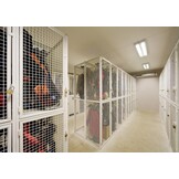 Gaaslocker 60cm x 60cm x 240cm met 2 deuren