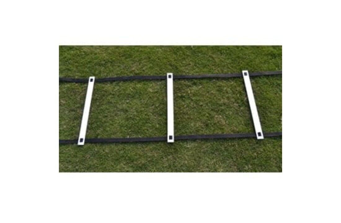 Boucle budget de 4 millions d'Ladder - Copy