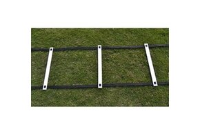 Boucle budget de 4 millions d'Ladder - Copy