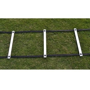 Boucle budget de 4 millions d'Ladder - Copy