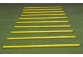 Sla-om stok (2 delig)  170cm set van 10