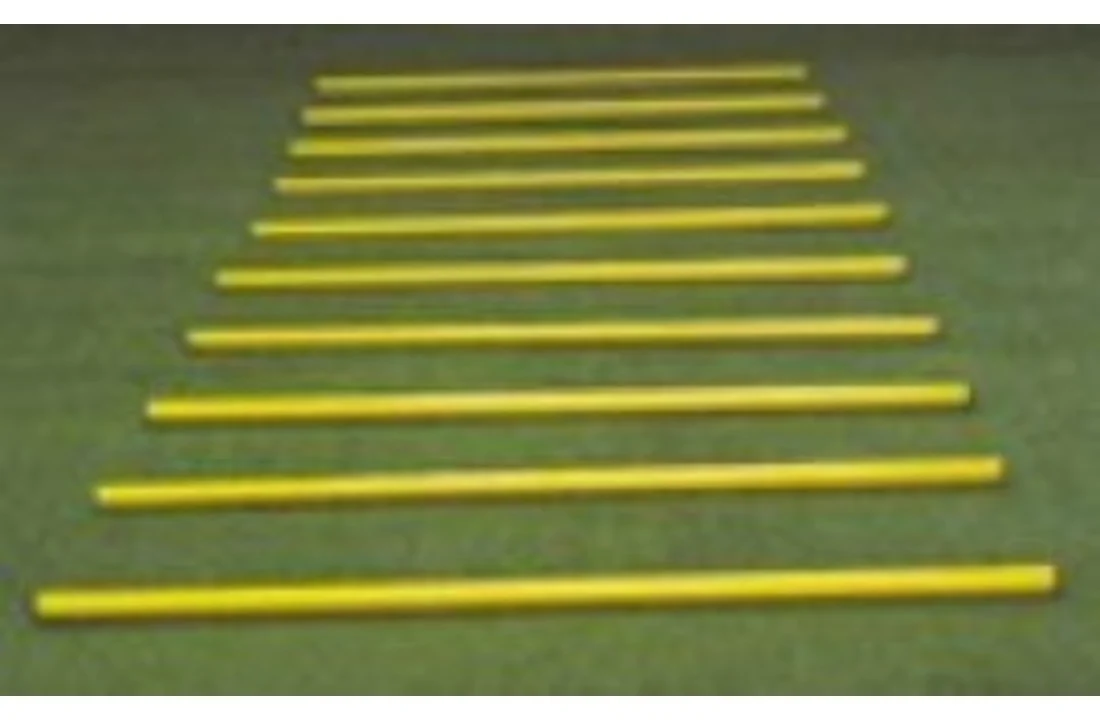 Sla-om stok (2 delig)  170cm set van 10 met draaggordel