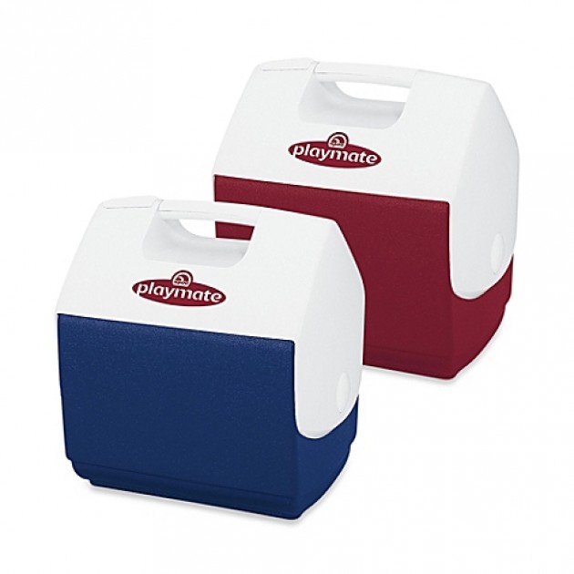 Koelbox 6,6 Liter Igloo