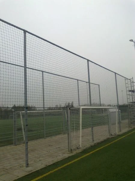 Ballenvangernet 20x5m 3mmPP, 120mm, zwart