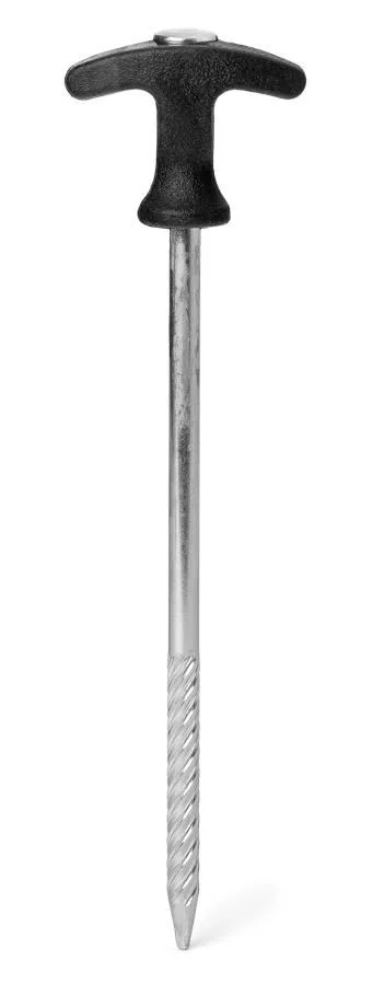 Pin (met slagkop)