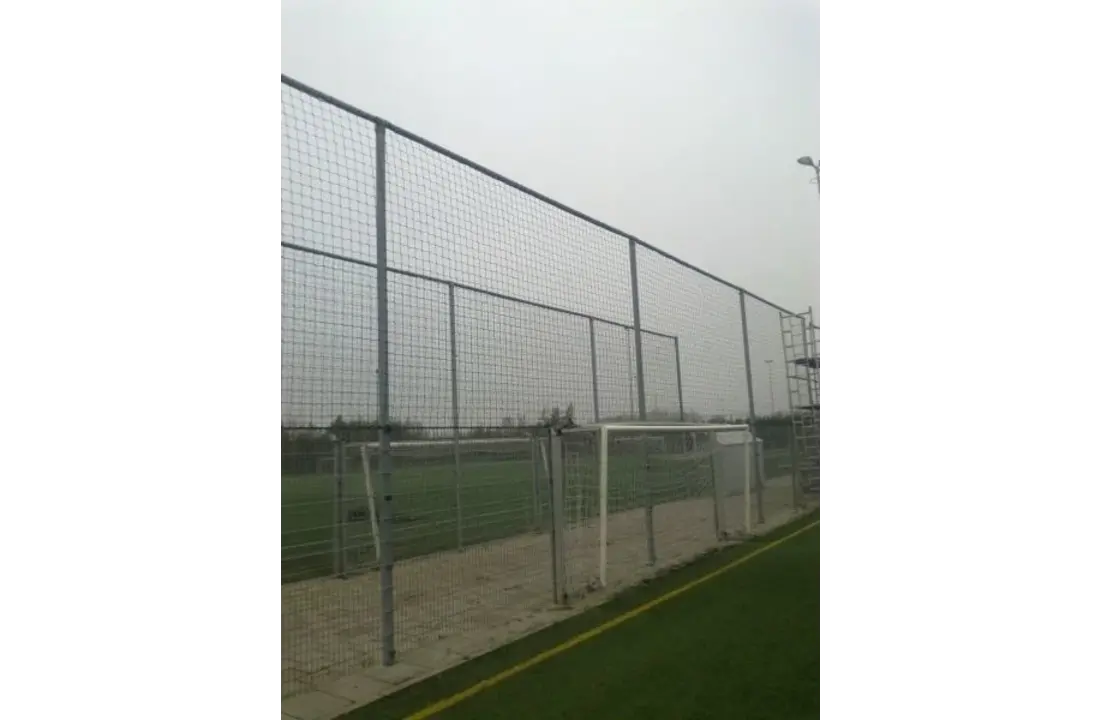 Ballenvangernet 25x5m 3mmPP, 120mm, zwart