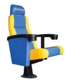 Luxe lederen Coach Stoel model Plex