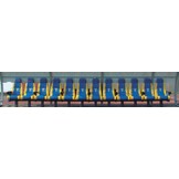 Luxe lederen Coach Stoel model Plex