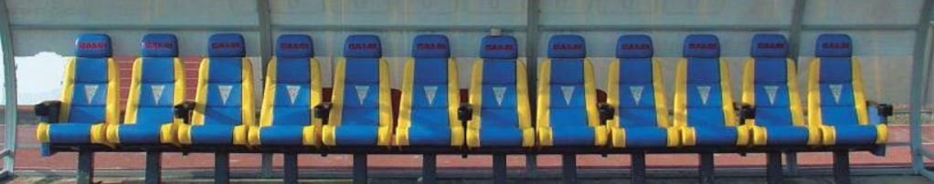 Luxe lederen Coach Stoel model Plex