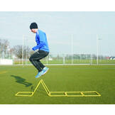 Échelle de coordination