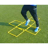 Échelle de coordination