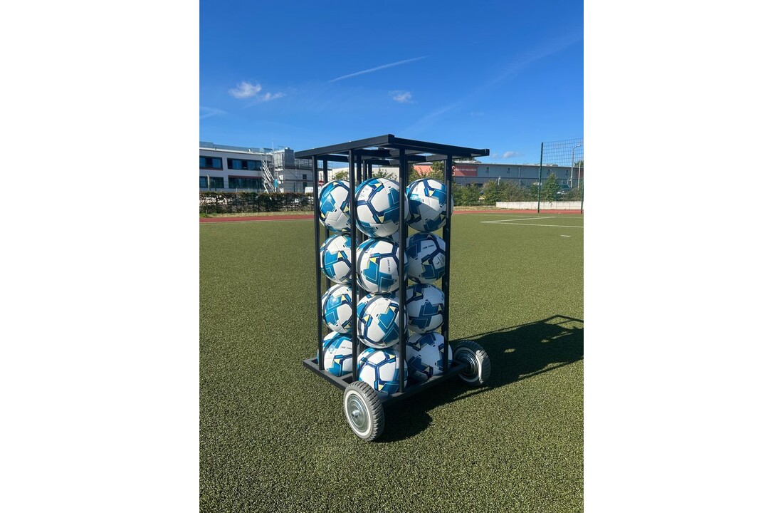 Balwagen voor 16 ballen