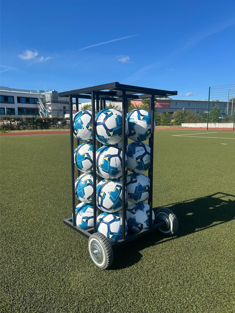 Balwagen voor 16 ballen