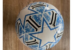 TOP Trainingbal Light Maat 5