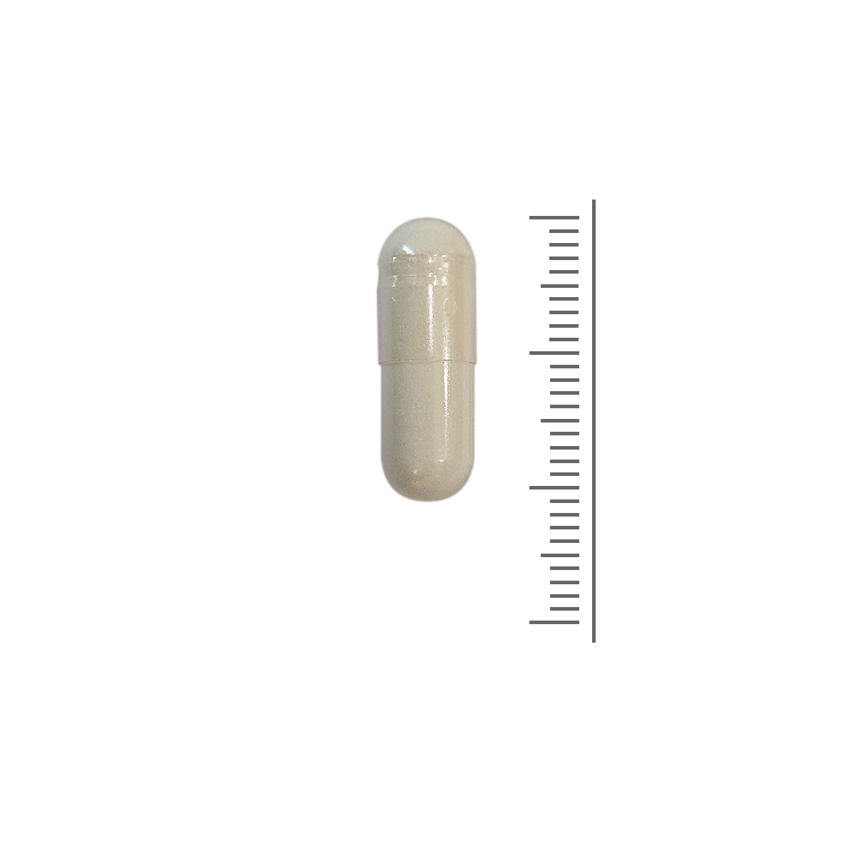 Collagène + acide hyaluronique