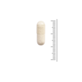 L-Arginine 100 gélules