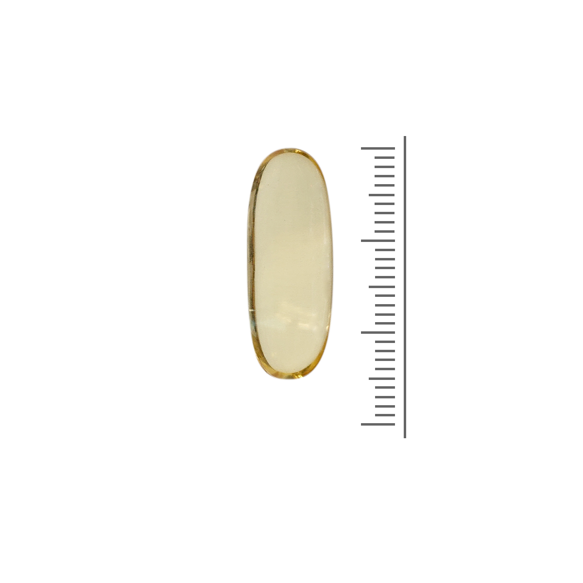 Omega 3 visolie softgels