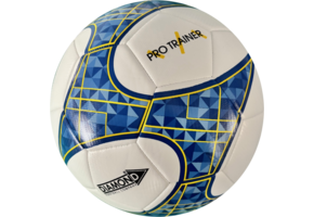 Trainingsbal Pro Trainer