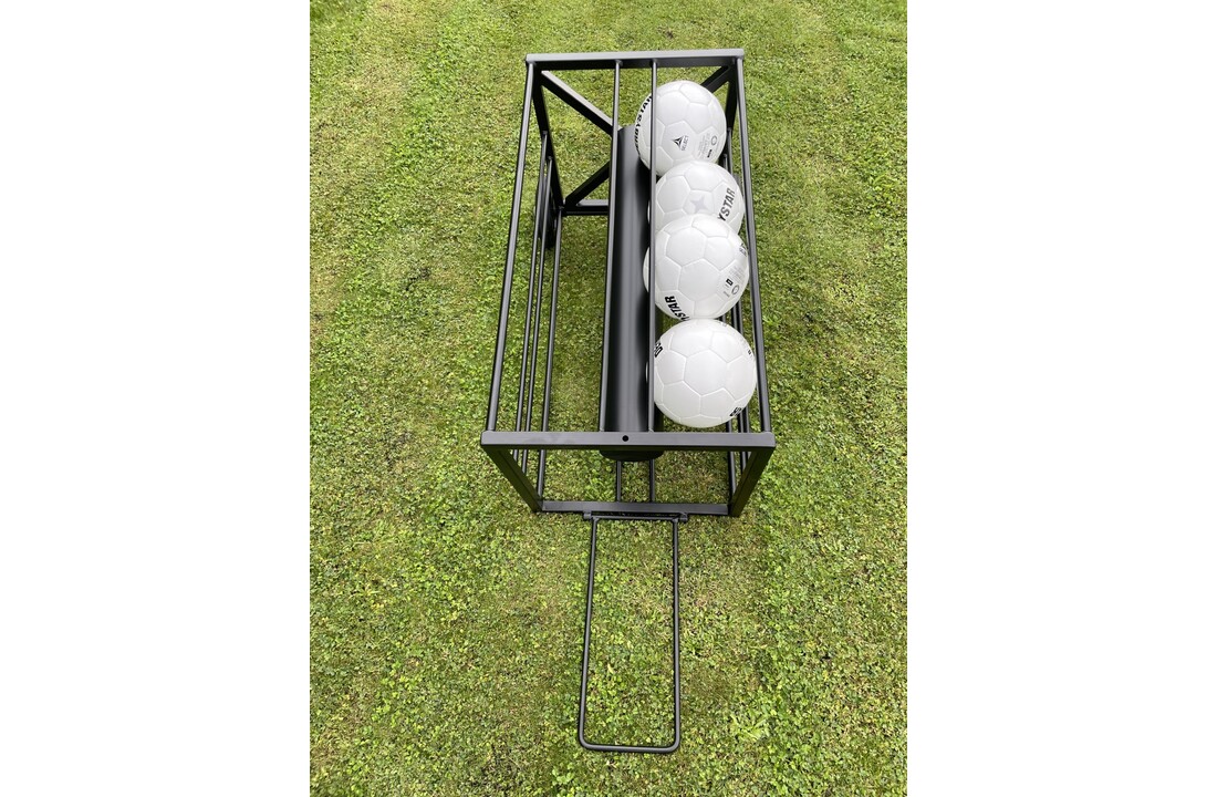 Ballenkar voor 16 voetballen