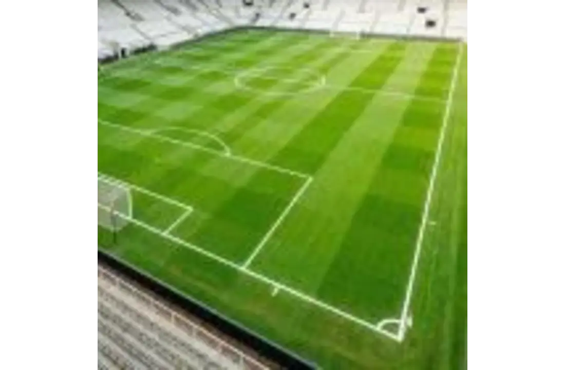 Lijnmarkering Stadion Plus