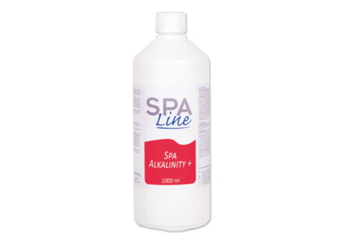 Spa Alkalinity Plus 