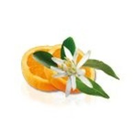 thumb-Camylle Velours de Spa - Fleur d'Oranger-2