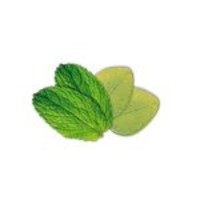 thumb-Camylle Velours de Spa - Eucalyptus / Menthe-2