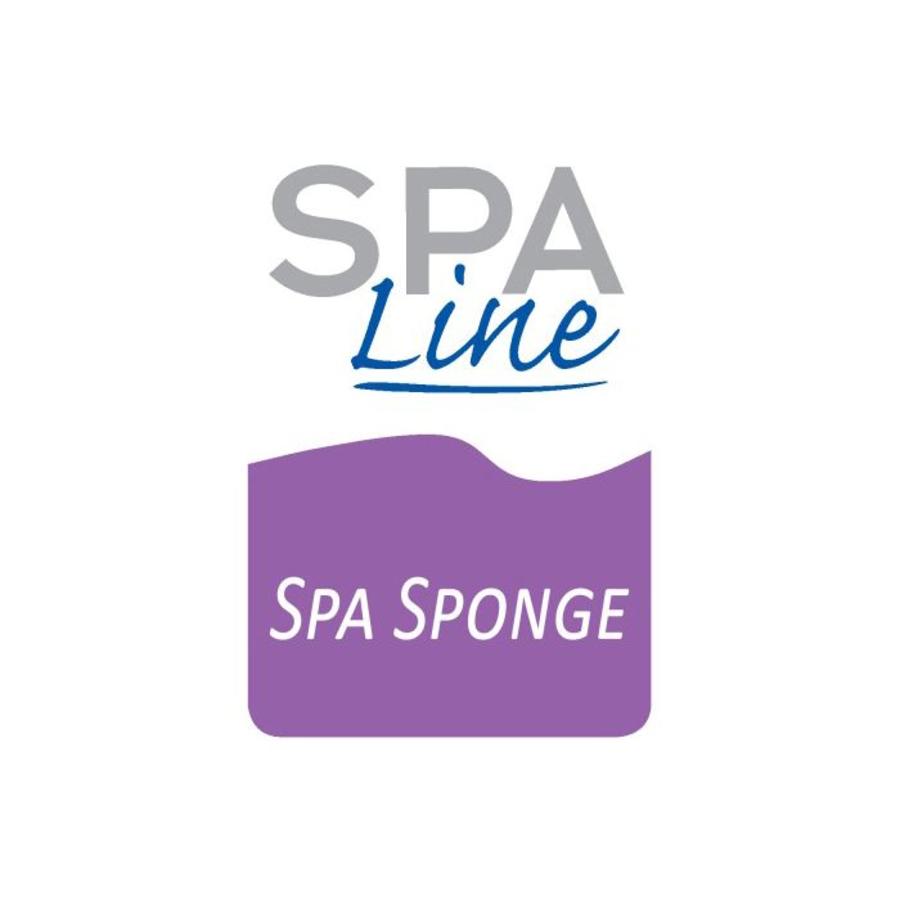 Spa Sponge-2