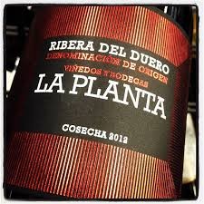 Ribera del Duero "La Planta"