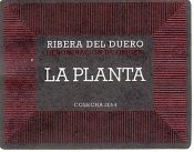 Ribera del Duero "La Planta"