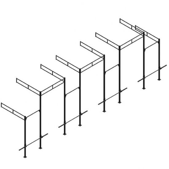 PTessentials Wall Mount Crossfit Rig V12 afbeelding