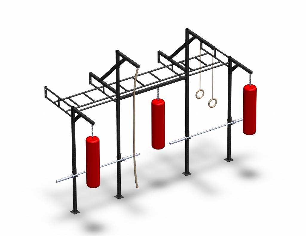 PTessentials Wall Mount Crossfit Rig V18 afbeelding