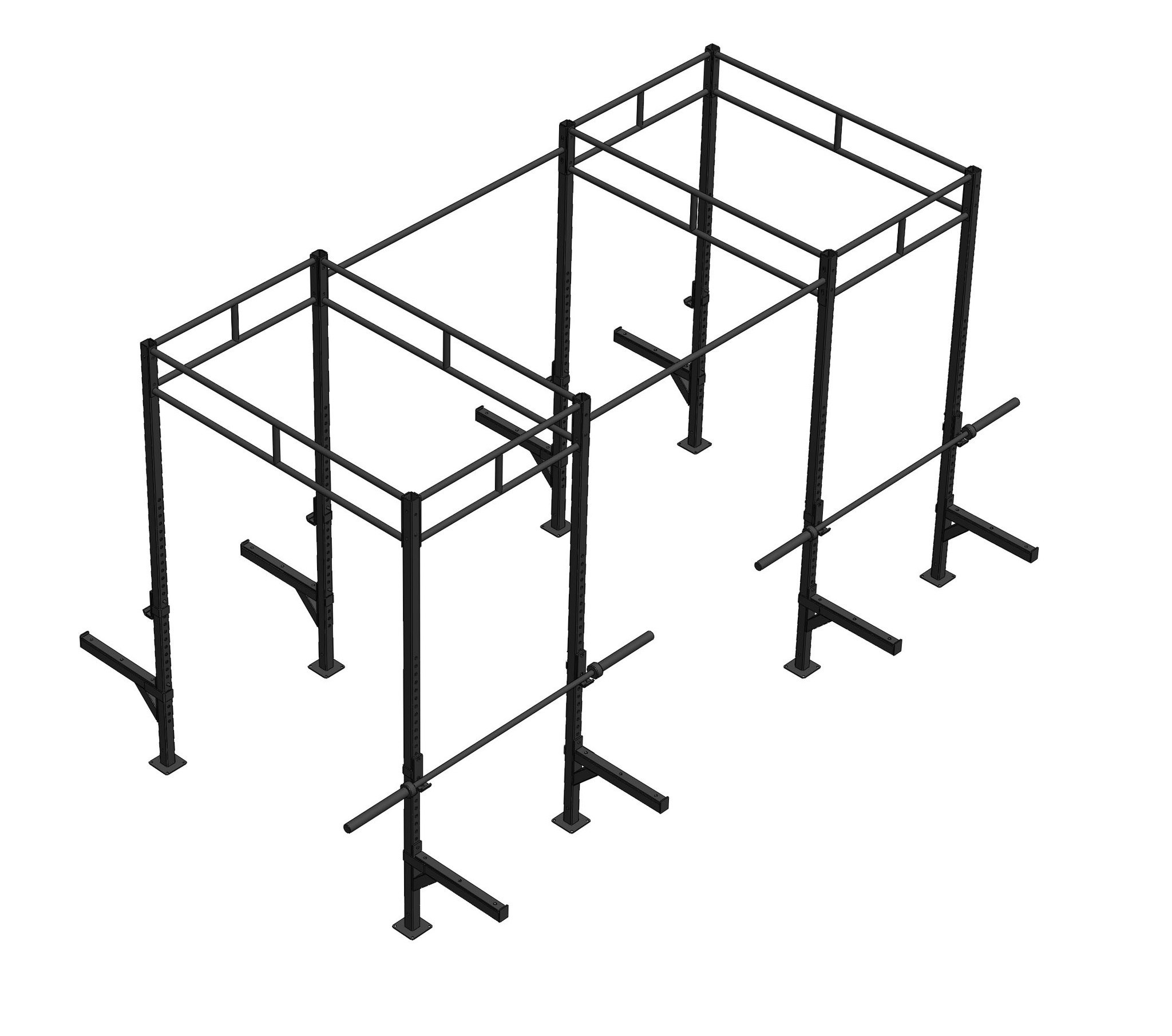 PTessentials Heavy Duty Crossfit Rig V10 - V2 afbeelding