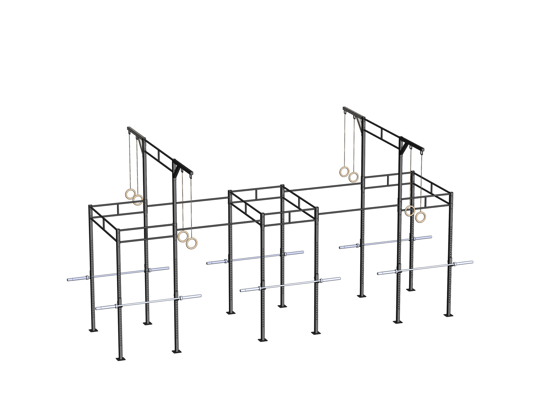 PTessentials Heavy Duty Crossfit Rig V20 afbeelding