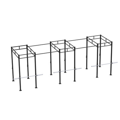 PTessentials Heavy Duty Crossfit Rig V21