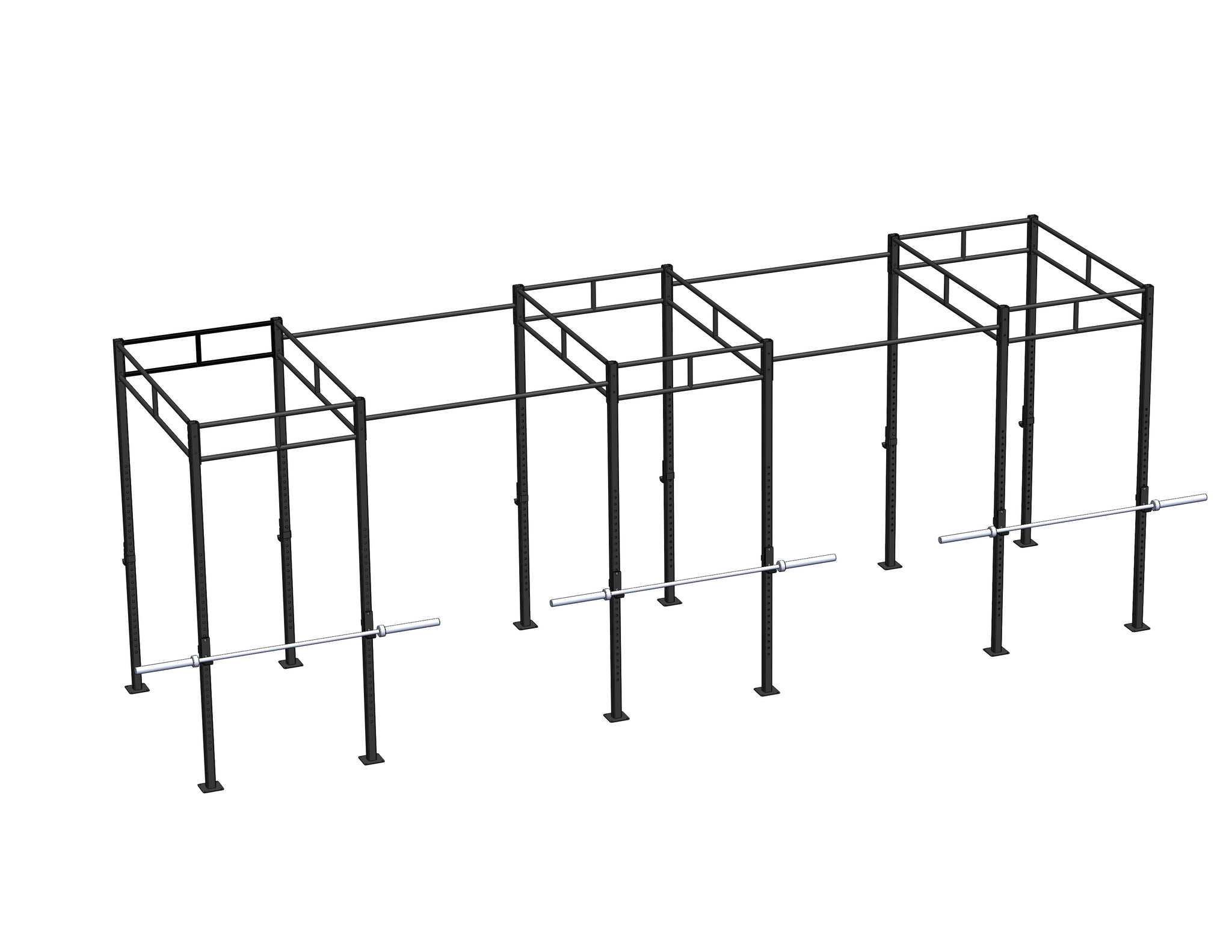 PTessentials Heavy Duty Crossfit Rig V21 afbeelding