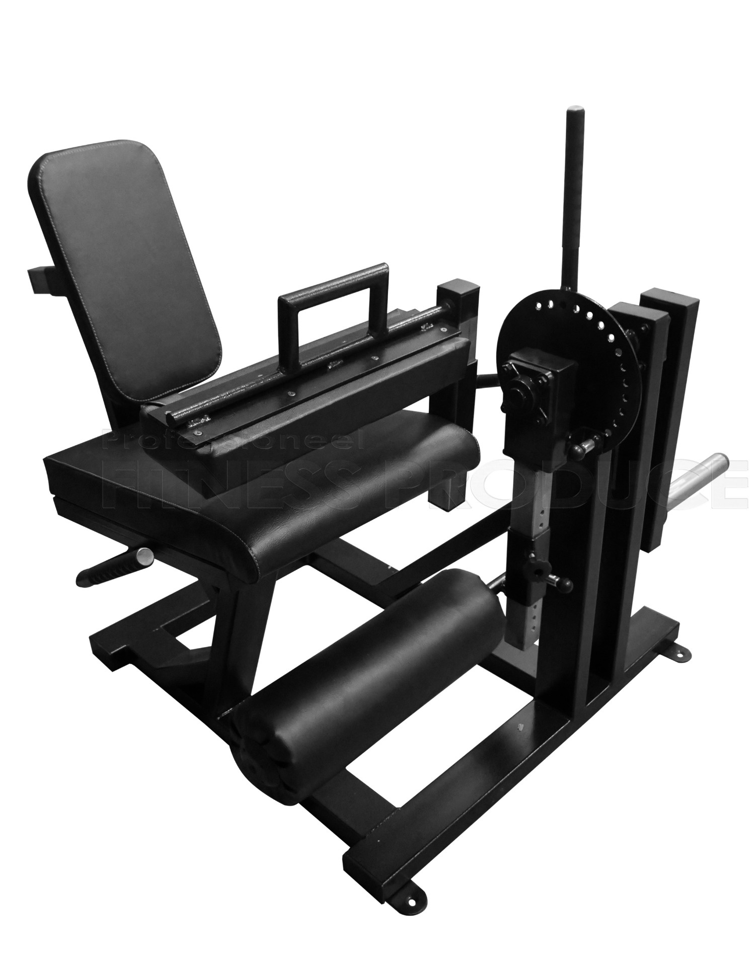 FP Equipment Leg Extension and Curl Machine - Plate Loaded afbeelding