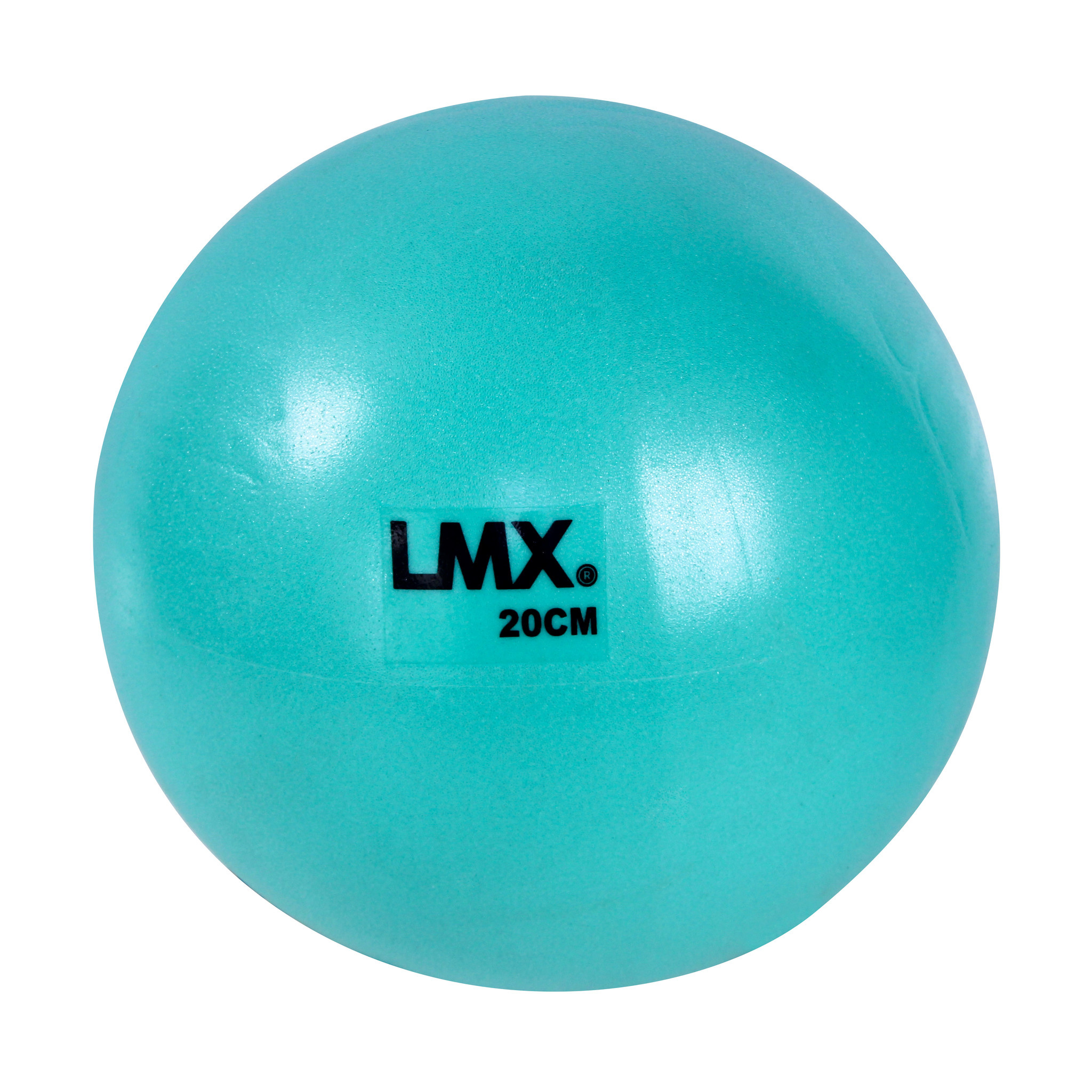 Richtlijnen Gespecificeerd voordelig Lifemaxx LMX1260 Pilates Ball 20 - 25 cm - Fitnesskoerier.nl