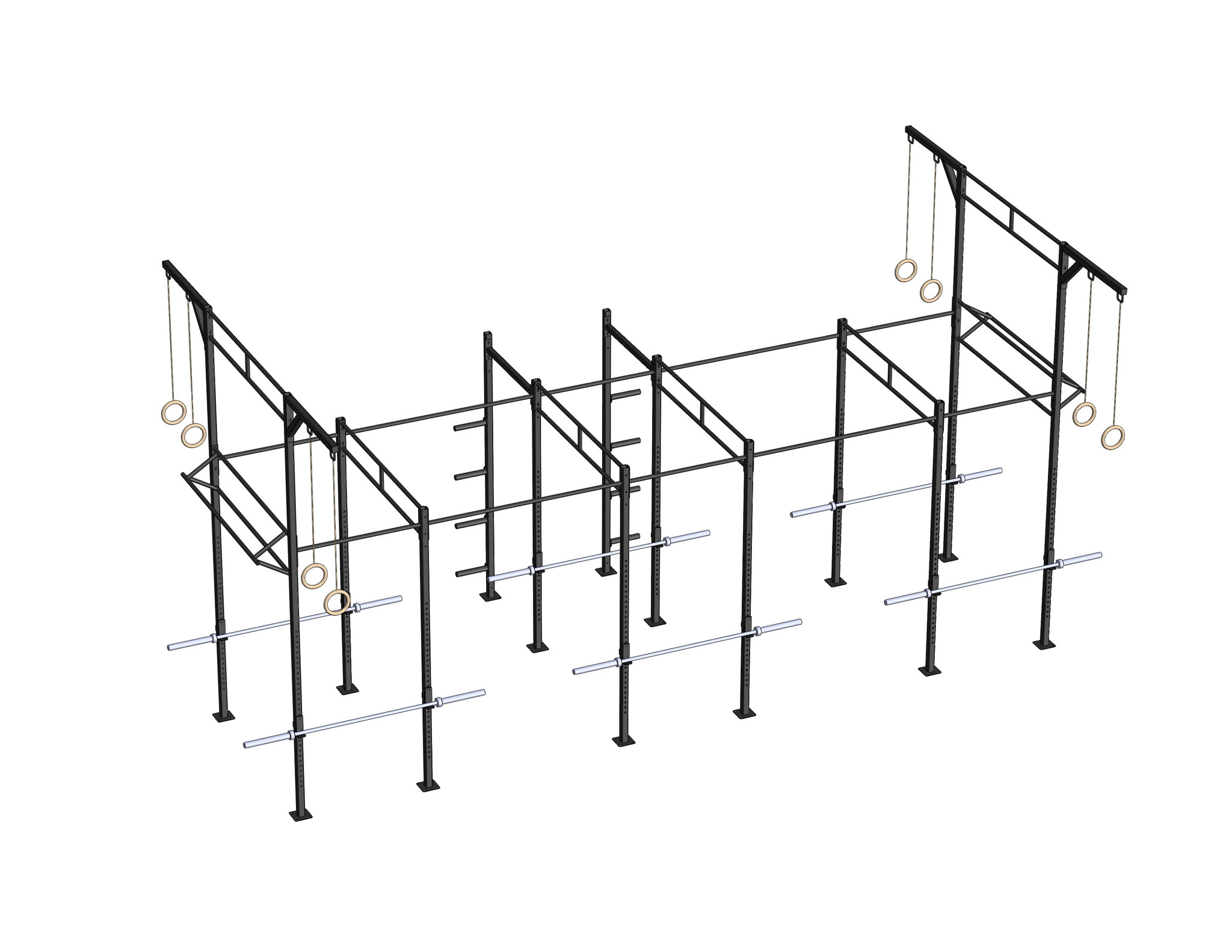 PTessentials Heavy Duty Crossfit Rig V23 afbeelding