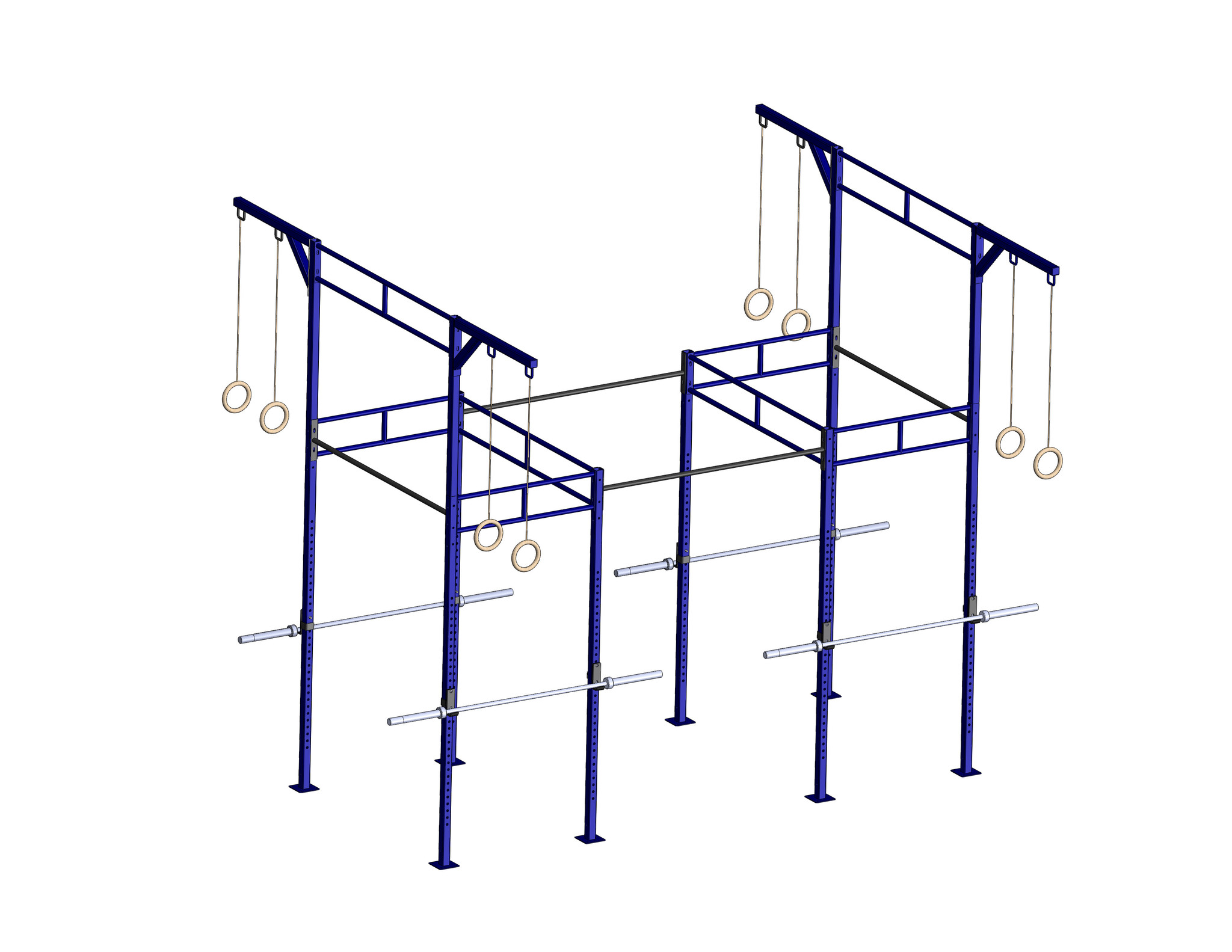 PTessentials Heavy Duty Crossfit Rig V24 - Blue Coloured Rig afbeelding