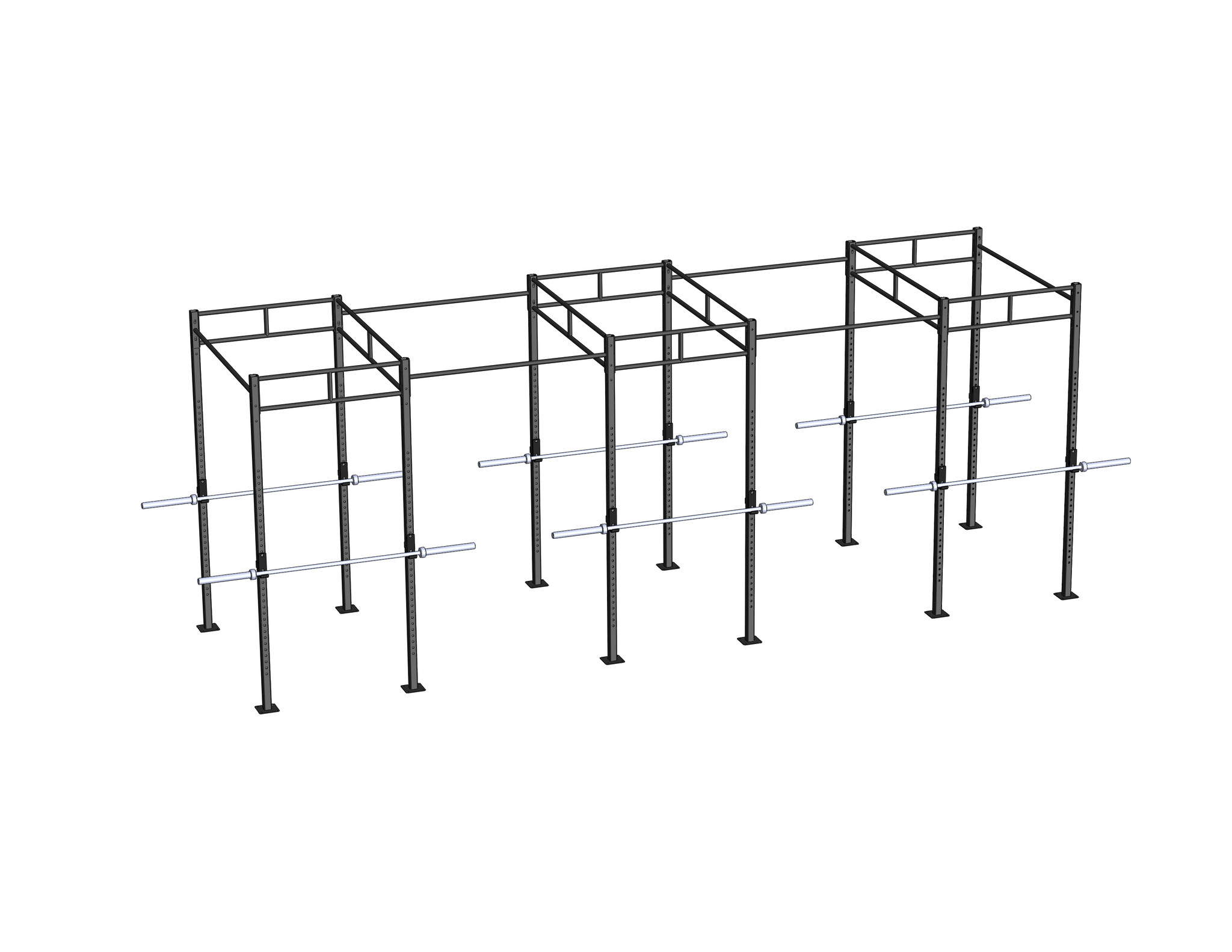 PTessentials Heavy Duty Crossfit Rig V25 afbeelding