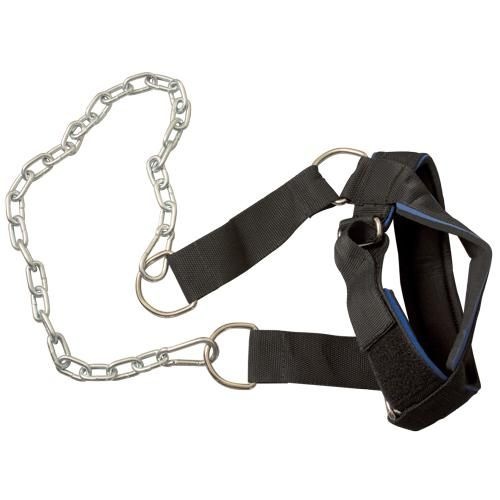 Body-Solid Neck Developer MA307N afbeelding