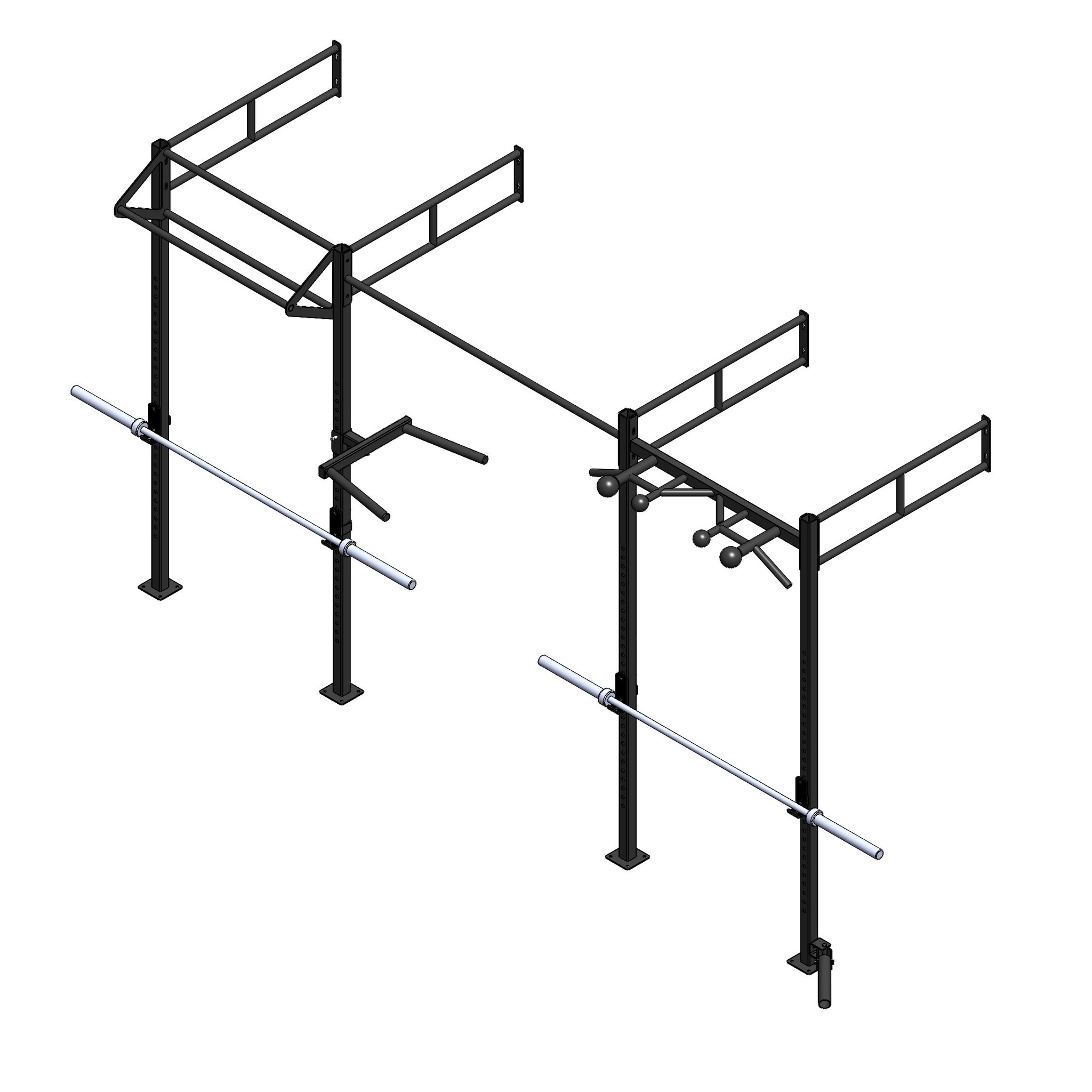 PTessentials Heavy Duty Crossfit Rig OUTDOOR V1 afbeelding